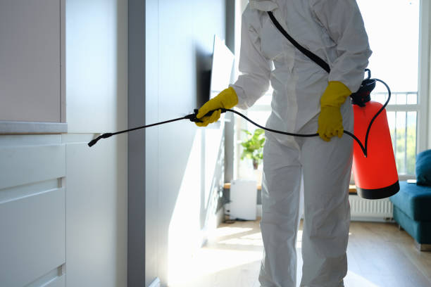 Best DIY Mold Remediation Support Services in Quartz Hill, CA